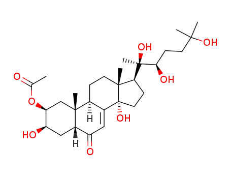 19536-25-5